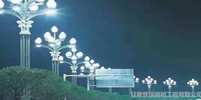 西寧特色定制款路燈批發(fā)「甘肅登頂照明工程供應」